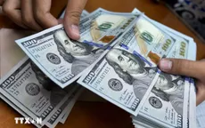 dong-usd-83391616673165269801307-10136347555943031940890-5.jpg