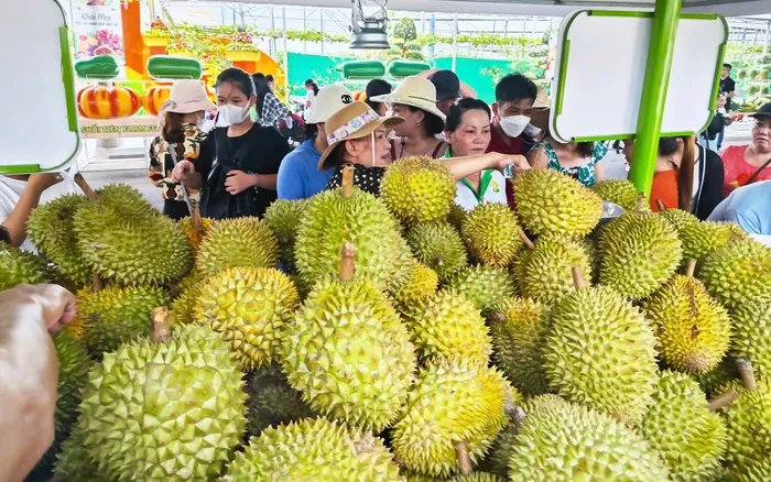 Tăng tốc xuất khẩu sầu riêng - Ảnh 1.