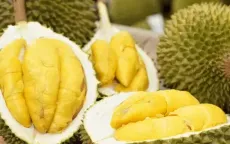 thumb-xuat-khau-sau-rieng-09427127182124976412447-1.webp