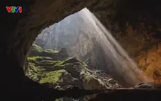 vn-78283627533422718915778-35238620288419536902298.png